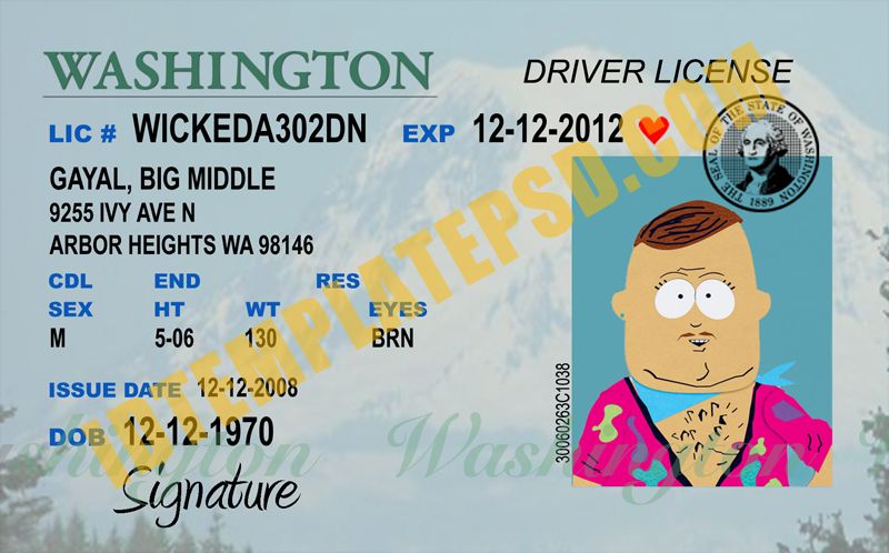 Washington State Driver